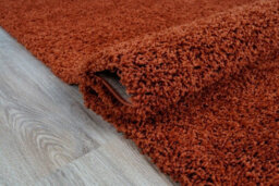 Smart Living Shaggy Soft Thick Area Rug, Living Room Carpet, Kitchen Floor, Bedroom Soft Rugs 60Cm X 110Cm - Terracotta - thumbnail 2