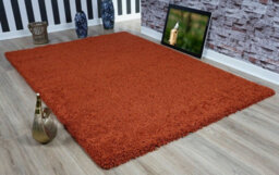 Smart Living Shaggy Soft Thick Area Rug, Living Room Carpet, Kitchen Floor, Bedroom Soft Rugs 60Cm X 110Cm - Terracotta