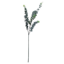 Hill Interiors Artificial Tall Single Stem Silver Dollar Eucalyptus Green (One Size) - thumbnail 1