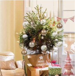 Amorly 24Pcs 6Cm Shatterproof Clear Plastic Christmas Ball Ornaments, Decorative Hanging Baubles For Christmas Tree Holiday Decor - thumbnail 2