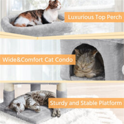 Yaheetech Light Grey 59Cm 2-Level Cat Tower Cat Tree Condo With Wide Perch - thumbnail 4