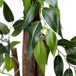 Greenbrokers Premium Artificial Ficus Weeping Fig Tree Potted Plant, Green, 120Cm - thumbnail 3