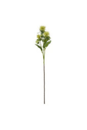 Vibrant Green Safflower Spray For Elegant Floral Decor - thumbnail 1