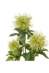 Vibrant Green Safflower Spray For Elegant Floral Decor - thumbnail 2