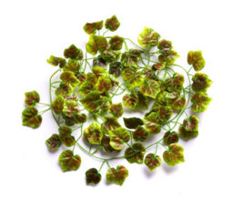 Best Artificial 7Ft - 210Cm Autumn Ivy Garland String Strand Twine Decoration - Il05 - thumbnail 6