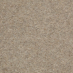 Weald Park Gold 80/20 Wool Twist Pile Carpet By Remland (Rusk, 5M X 4M)