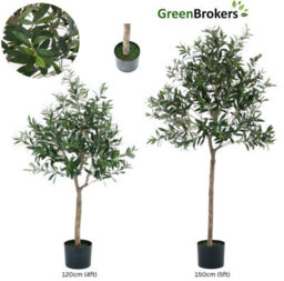 GreenBrokers Artificial Olive Tree With Real Wood Trunk, Premium Quality Natural Appearance, 4Ft/120 Cm - thumbnail 3