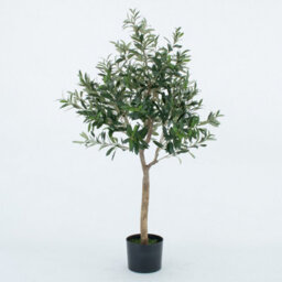 GreenBrokers Artificial Olive Tree With Real Wood Trunk, Premium Quality Natural Appearance, 4Ft/120 Cm