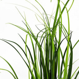 Leaf 60Cm Artificial Grass Plant With Peach Dusty Pink Ceramic Planter - thumbnail 5