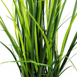 Leaf 60Cm Artificial Grass Plant With Peach Dusty Pink Ceramic Planter - thumbnail 6