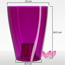 B2C Plant Orchid Pot Plastic  Gloss Oval Planter 12 Cm Purple Transparent Square - thumbnail 2