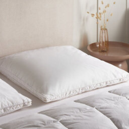Wyld And Coco Dreamnest Luxepillow White Cotton, Duck Down And Feathers Fill, 80 X 80 Cm High Loft Soft - thumbnail 2