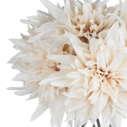 Wyld Haus Set Of 3 Artificial Blush Dahlia Stems, Lifelike Faux Flowers For Vases And Bouquets - thumbnail 3