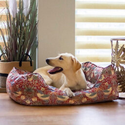 Morris & Co. Box Bed For Dogs, Red Strawberry Thief Print, Reversible Plush Cushion, Thickly Padded, 55Cm X 42Cm, Small - thumbnail 5