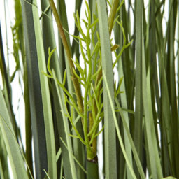 Wyld Haus Large Artificial White Meadow Plant - 150 Cm (Pot Not Included) - thumbnail 3