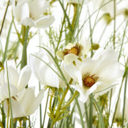 Wyld Haus Large Artificial White Meadow Plant - 150 Cm (Pot Not Included) - thumbnail 2
