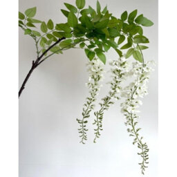 Hill Interiors Wisteria Spray Artificial Plant White/green (180Cm) - thumbnail 1