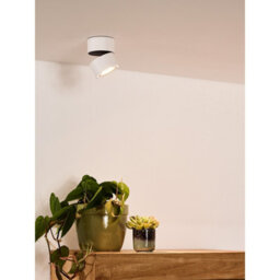 Lucide Yumiko Modern Surface Mounted Ceiling Spotlight 7,8Cm - Led Dim. - 1X8W 2700K - White - thumbnail 4