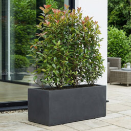 Set Of 2 Idealist™ 60Cm Planter Trough, Slate Grey Reinforced Stone Rectangular Planters, Outdoor Large Plant Pots L60 W30 H30 Cm - thumbnail 6