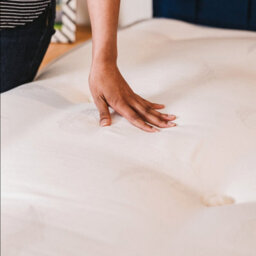 Divan Base Direct Sophia Briar-Rose Noemie 1000 Pocket Sprung Natural Cotton Tencel Divan Bed Set 5Ft King - Plush Marine - thumbnail 3