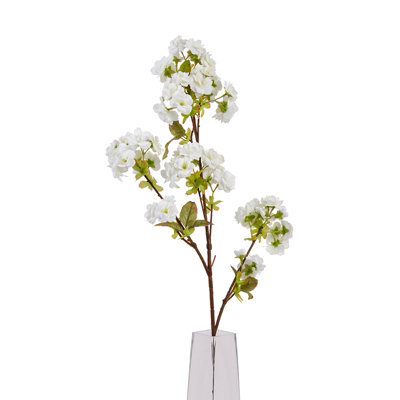 Tall                  White                  Blossom - image 1