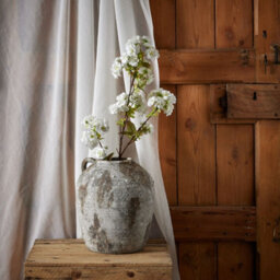 Tall                  White                  Blossom - thumbnail 3