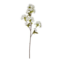 Tall                  White                  Blossom - thumbnail 4