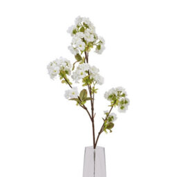 Tall                  White                  Blossom - thumbnail 5