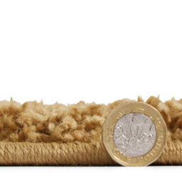 Gold Plain 25mm Thick Anti-Shed Rug For Bedroom, Living, & Dining Room, Anti-Shed Modern Plain Area Rug-120Cm X 170Cm - thumbnail 8