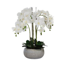 Greenbrokers Elegant Large Six Stem Butterfly White Real Touch Artificial Potted Orchid (65Cm) In Decorative Silver Ceramic Pot - thumbnail 3
