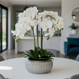 Greenbrokers Elegant Large Six Stem Butterfly White Real Touch Artificial Potted Orchid (65Cm) In Decorative Silver Ceramic Pot - thumbnail 2