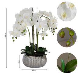 Greenbrokers Elegant Large Six Stem Butterfly White Real Touch Artificial Potted Orchid (65Cm) In Decorative Silver Ceramic Pot - thumbnail 4