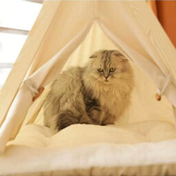 GardenSkill Wooden Cat Tent And Pet Teepee With Removable Cushion - Cosy Indoor Small Dog Bed And Cat Cave With Toys For Kitten, Rabbit, Puppy - thumbnail 2