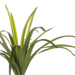 Beliani Artificial Dracaena 147Cm Tall Potted Indoor Plant - Maintenance-Free - thumbnail 6