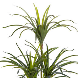 Beliani Artificial Dracaena 147Cm Tall Potted Indoor Plant - Maintenance-Free - thumbnail 3