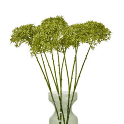 Hill Interiors Hydrangea Artificial Flower Green (One Size) - thumbnail 3