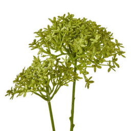 Hill Interiors Hydrangea Artificial Flower Green (One Size) - thumbnail 2