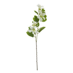 Wyld Haus Set Of 3 Cream Bauhinia Orchid Artificial Flower Sprays, 87Cm - thumbnail 1