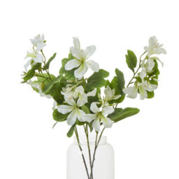 Wyld Haus Set Of 3 Cream Bauhinia Orchid Artificial Flower Sprays, 87Cm - thumbnail 3