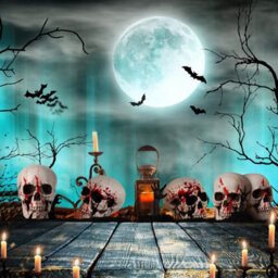 Amorly 8 Piece Mini Halloween Skull Head Decor, Human Skull Bone Model Statue For Desktop,home Halloween Display - thumbnail 3