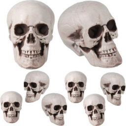 Amorly 8 Piece Mini Halloween Skull Head Decor, Human Skull Bone Model Statue For Desktop,home Halloween Display - thumbnail 7