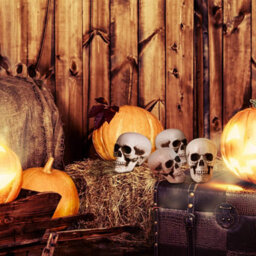 Amorly 8 Piece Mini Halloween Skull Head Decor, Human Skull Bone Model Statue For Desktop,home Halloween Display - thumbnail 2