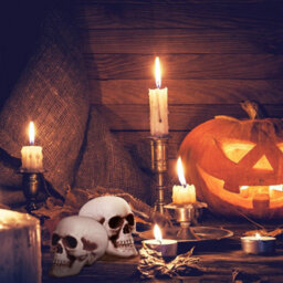 Amorly 8 Piece Mini Halloween Skull Head Decor, Human Skull Bone Model Statue For Desktop,home Halloween Display - thumbnail 4