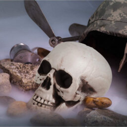 Amorly 8 Piece Mini Halloween Skull Head Decor, Human Skull Bone Model Statue For Desktop,home Halloween Display - thumbnail 6