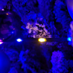 Samuel Alexander 17.5M Indoor Outdoor Flexibrights Christmas Lights With 500 Rainbowleds - thumbnail 4