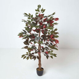 Homescapes Artificial Red & Green Handcrafted Capensia Tree With Real Wood Trunk, 4 Ft - thumbnail 1