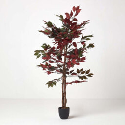 Homescapes Artificial Red & Green Handcrafted Capensia Tree With Real Wood Trunk, 4 Ft - thumbnail 5