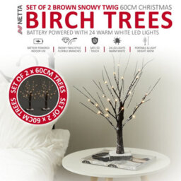 Netta Set Of 2 2Ft Twig Birch Tree With Pre-Lit With 24 Warm White Leds - Battery Powered - Brown - thumbnail 2