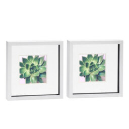 "Nicola Spring 10 X 10"" Photo Frames - White/white Mount - 3D Picture Frame Box Portrait Display Case (53 X 53Cm) Set Of 2" - thumbnail 1