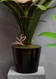 Orsina Fiori White Tropical Plant Artificial Plant Foliage - thumbnail 8